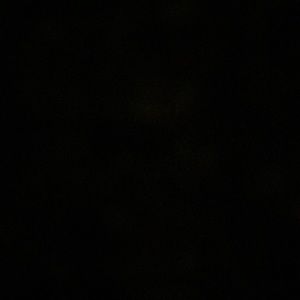 Meet your Posher, Wyatt